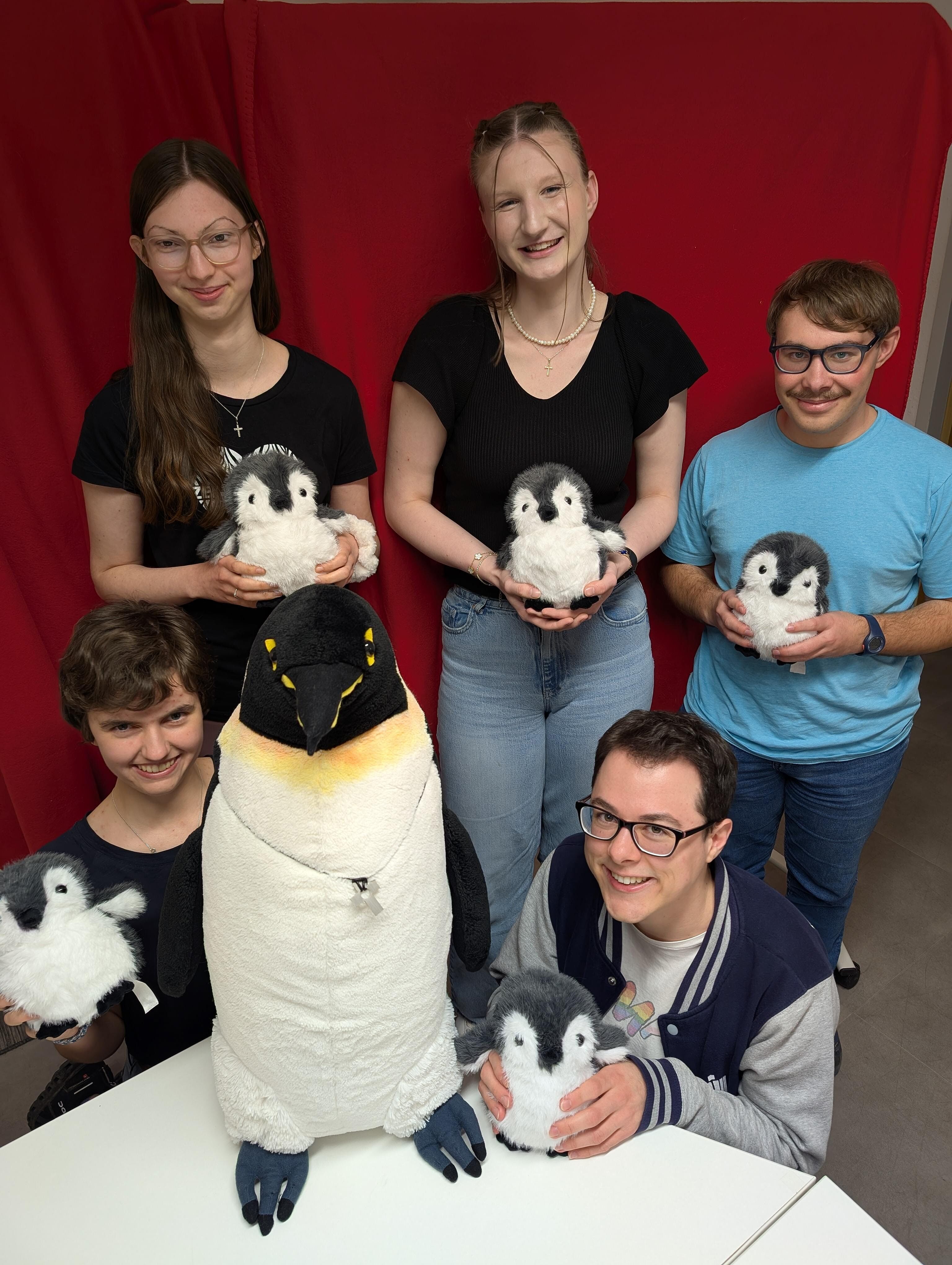 Mini-DL-Gruppenfoto+Pinguine